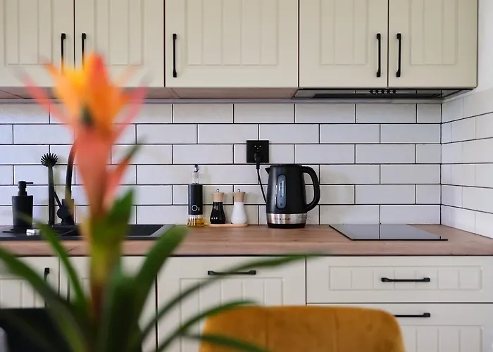 Beztroski Szachulcowa 4a *